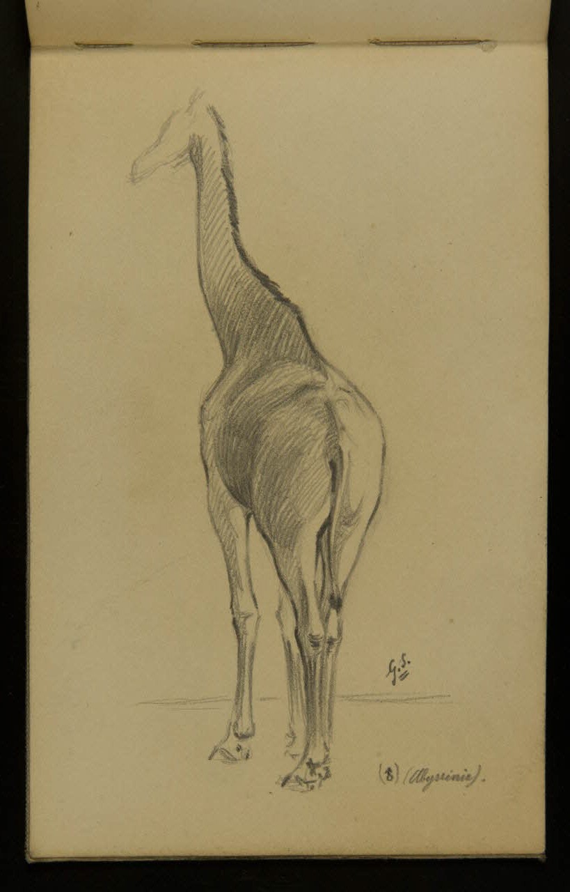 Girafe de dos, 1916—1918, Gustave Soury, Mucem