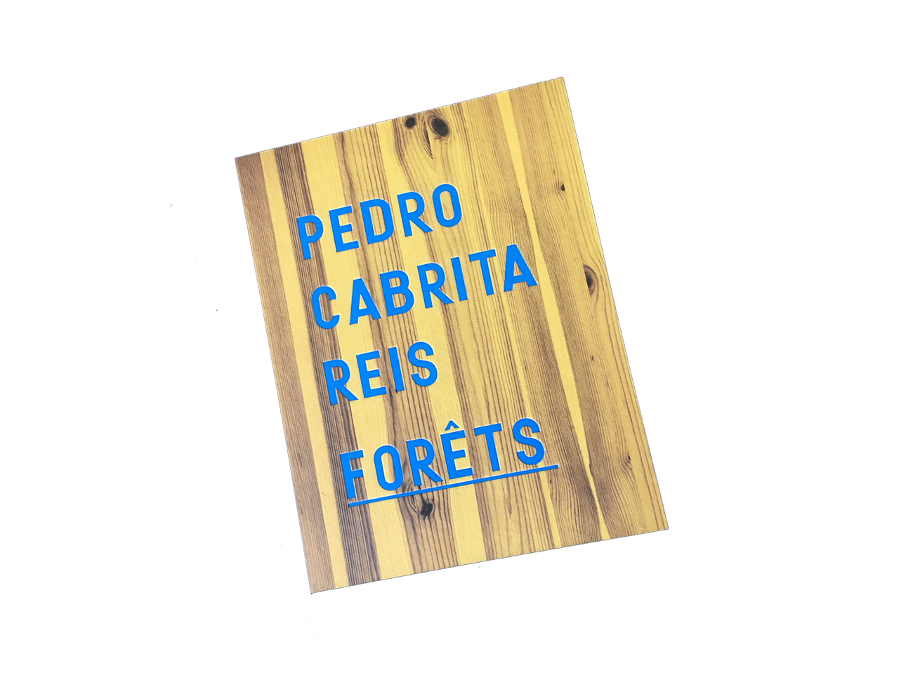 Pedro Cabrita Reis, Forêts