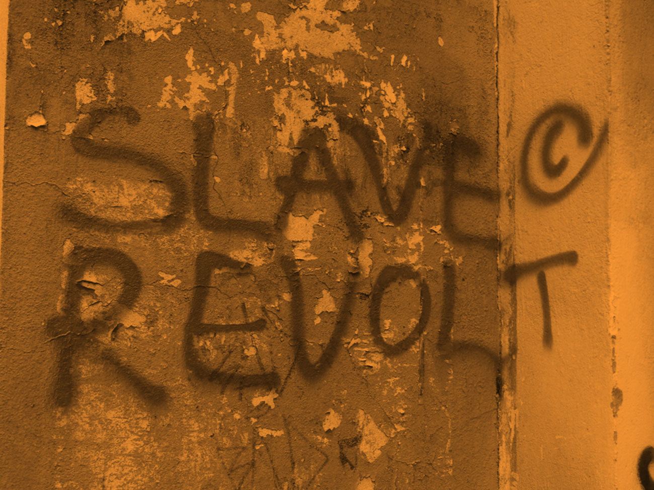 Slave Revolt Paris © Elvan Zabunyan