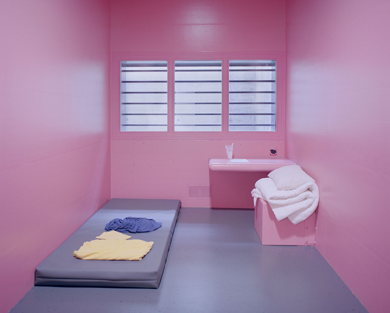 Angélique Stehli, Pink Cells, 2013-2017. Tirage contrecollé au mur © Angélique Stehli