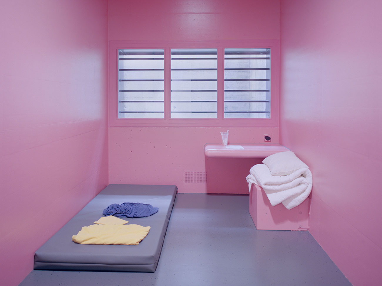 Angélique Stehli, Pink Cells, 2013 - 2017. Tirage contrecollé au mur © Angélique Stehli