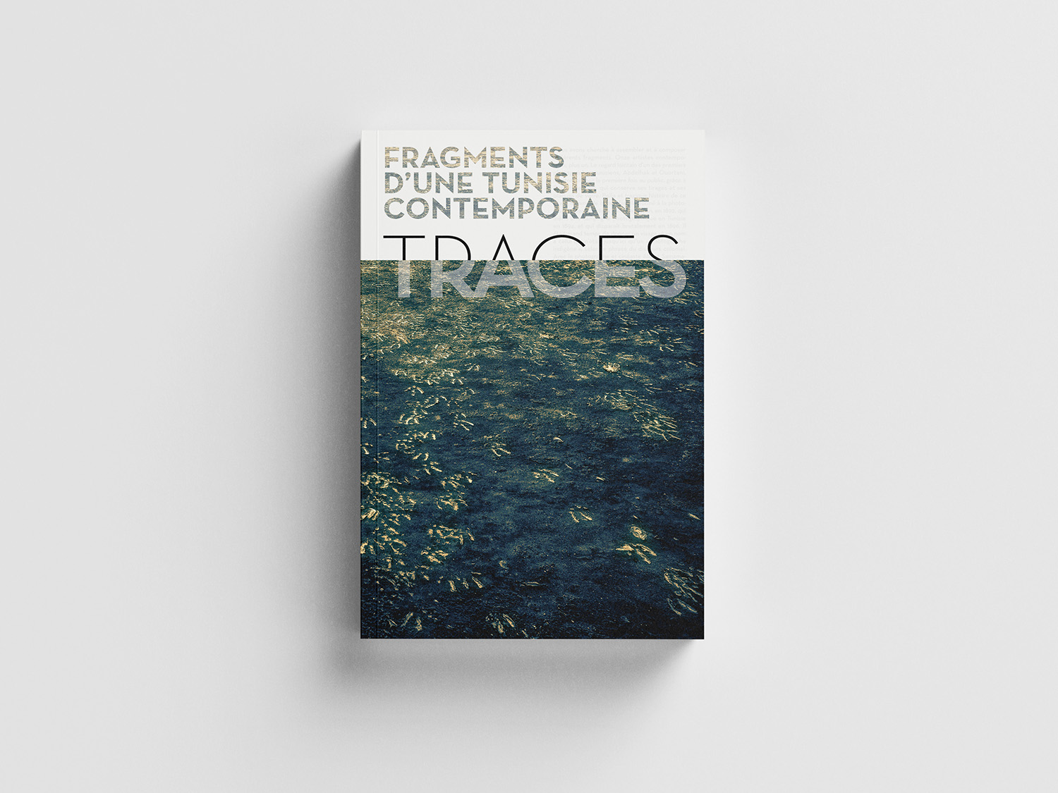 Catalogue Traces