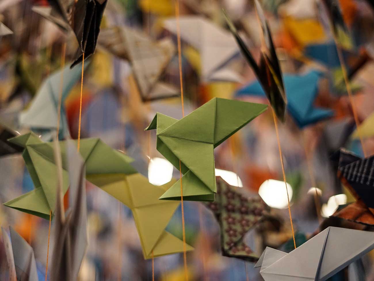Origami for life © Julie Cohen, Mucem