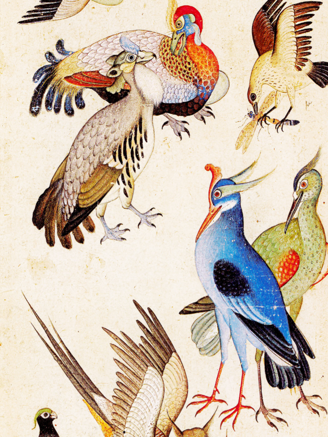 Dix oiseaux_Meskin-Agra © Musée national des Arts Asiatiques Guimet Paris