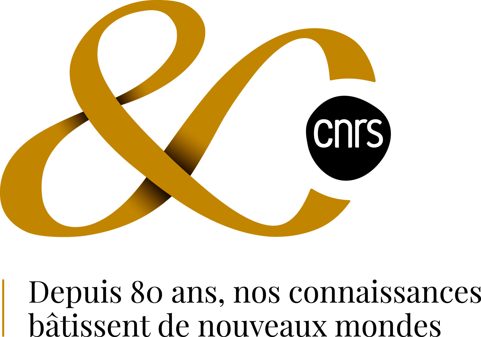 Logo 80 ans CNRS