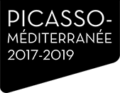 Picasso Méditerranée