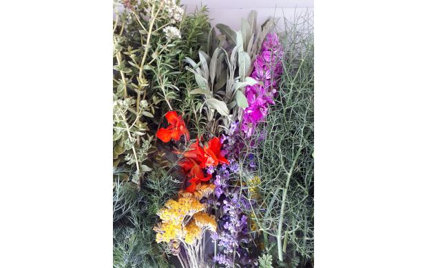 Atelier jardin, préparer ses plantes aromatiques © Mucem